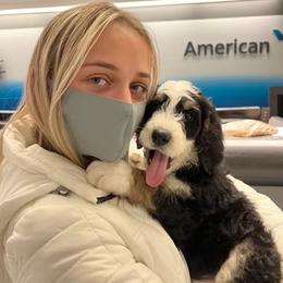 Bernedoodle Puppies from Quaint Haven Bernedoodles