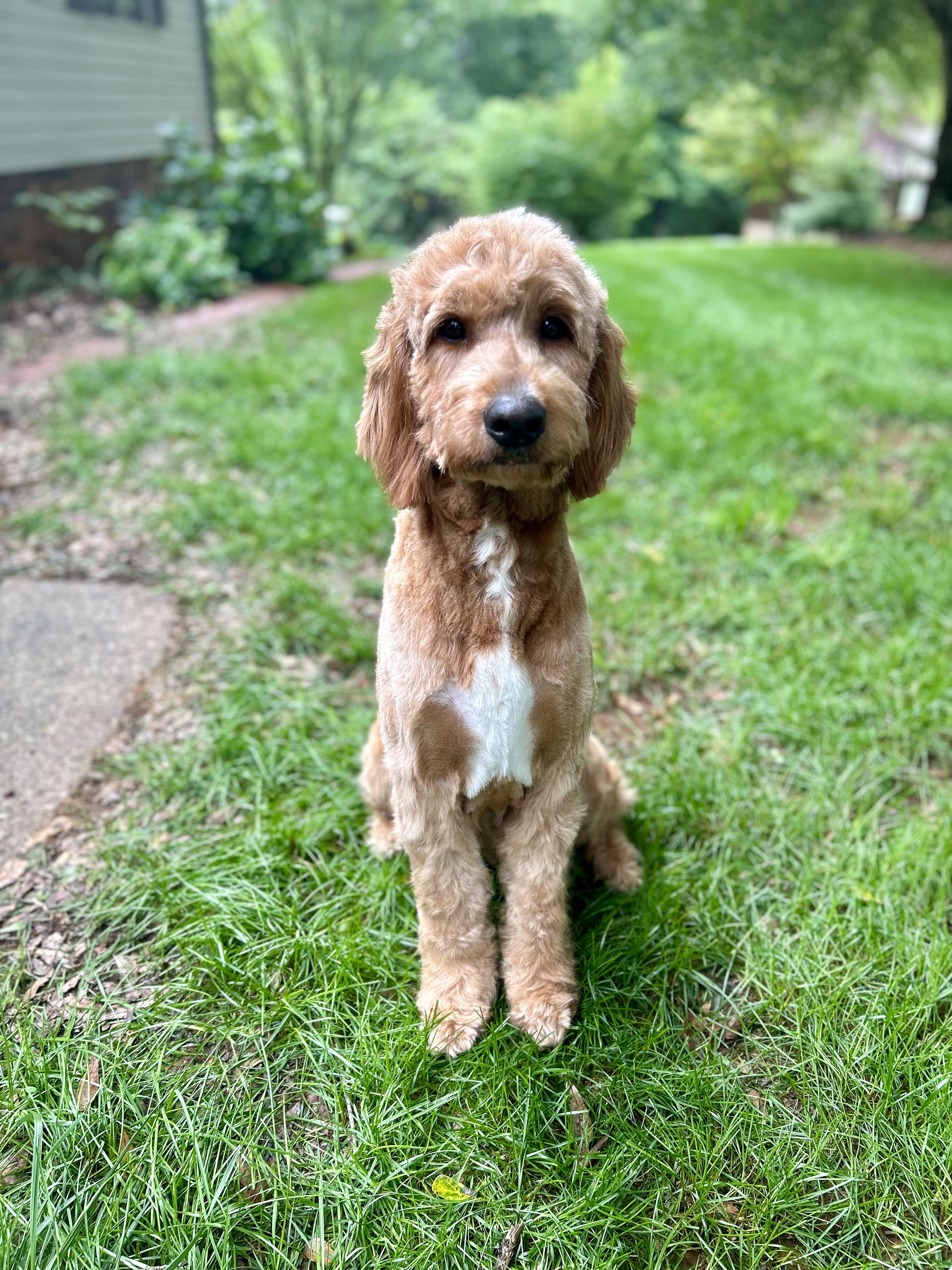 Ruby
