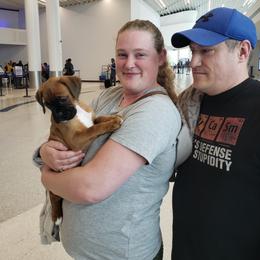 Boxer Puppies from SmashBox Kennel