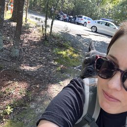 French Bulldog and Pug Puppies from Peachy Pugs