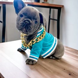 French Bulldog Puppies from Hudson Valley Frenchies