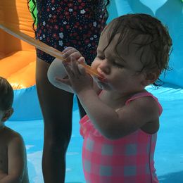 Toy Australian Shepherd All Grown Up from The Ranch of the Sun Toy Aussies