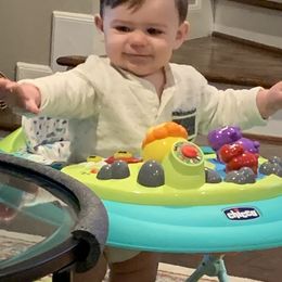 English Springer Spaniel Puppies from Rocky Mountain Springer Spaniels