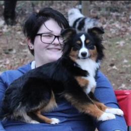 Prin - Toy Australian Shepherd