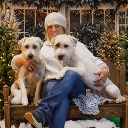 Soft Coated Wheaten Terriers from Ironwood Ridge Kennels