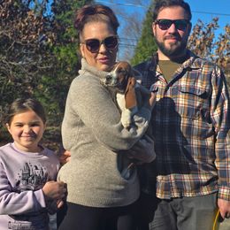 Orbitty (Purple) - Mahogany and white female Basset Hound puppy in Lebanon, Ohio from Lady Mae Bassets