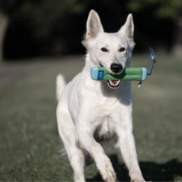 Thalie - White female Berger Blanc Suisse puppy in Chestnut, Illinois from Fireside Fernweh