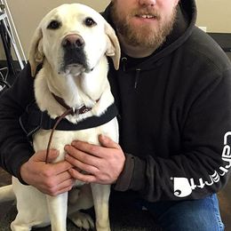 Labrador Retrievers from Retrieving Freedom