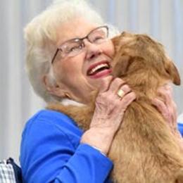 Norfolk Terrier and Norwich Terrier All Grown Up from Infinity Kennels