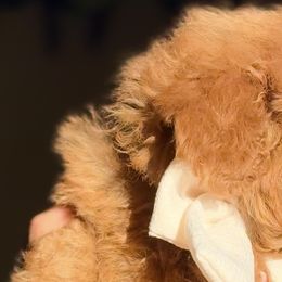 Poodles from Fidell Cuevas