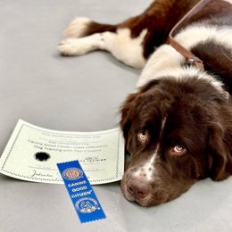Millie Jo - Newfoundland
