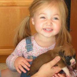 Boxer Puppies from CinniBon Boxers