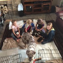 Australian Shepherd Puppies from Big Sky Aussies