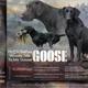 Goose