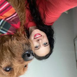 Labradoodle All Grown Up from Jaci Schork's Labradoodles