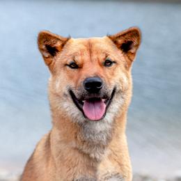 Sun-Mi - Jindo