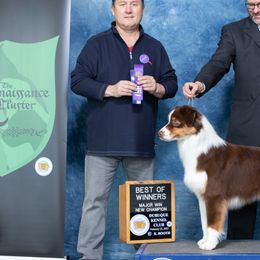 Australian Shepherds from Leslie's Australian Shepherds