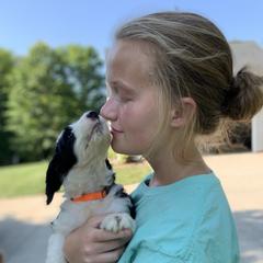 Bordoodle Puppies from Borders of Eby Eden