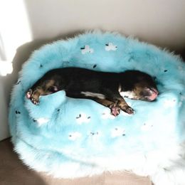 Sweet Baby James - Black and tan Cavalier King Charles Spaniel puppy in Kewaskum, Wisconsin from Moon Dream Cavaliers