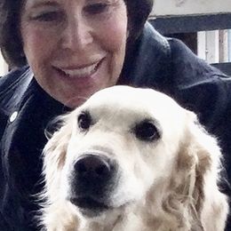 Goldendoodles from Knoxville Goldendoodles