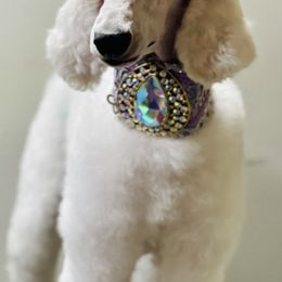 Tatu - Poodle