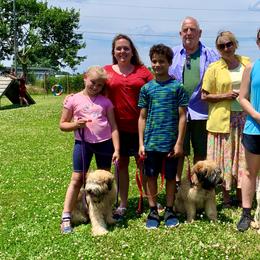 Soft Coated Wheaten Terrier Puppies from Wildfire Ridge Inc