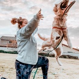 Golden Retrievers from Growing Up Goldens