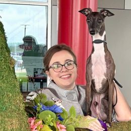 Italian Greyhounds from Serenata Italian Greyhounds