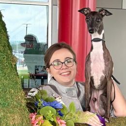 Italian Greyhounds from Serenata Italian Greyhounds