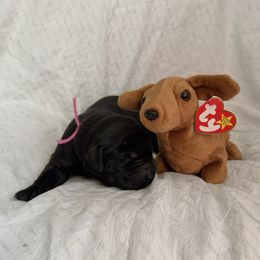 Girl 2 - Black female Labrador Retriever puppy in Water Valley, Mississippi from Three Lakes Labs & WHDs