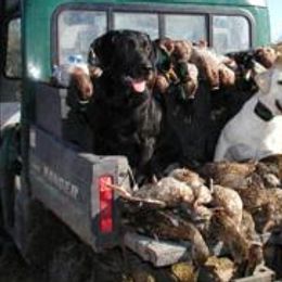 Labrador Retrievers from Saltgrass Retrievers