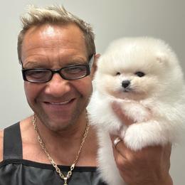 Grace - White female Pomeranian puppy in Charlotte, North Carolina from Kouture Pomeranians