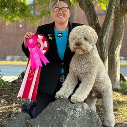 Lagotto Romagnolo puppies from True Blue Kennel