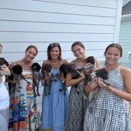 German Shorthaired Pointer Puppies from Buck GSP