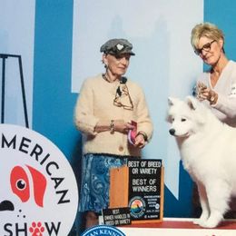 Samoyeds from Arctic Edge Samoyeds