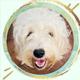 Bark Twain