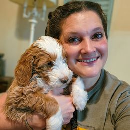Bernedoodle Puppies from 2 Rose Ranch Doodles
