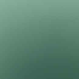 Australian Shepherds from Flying K-9 Connections