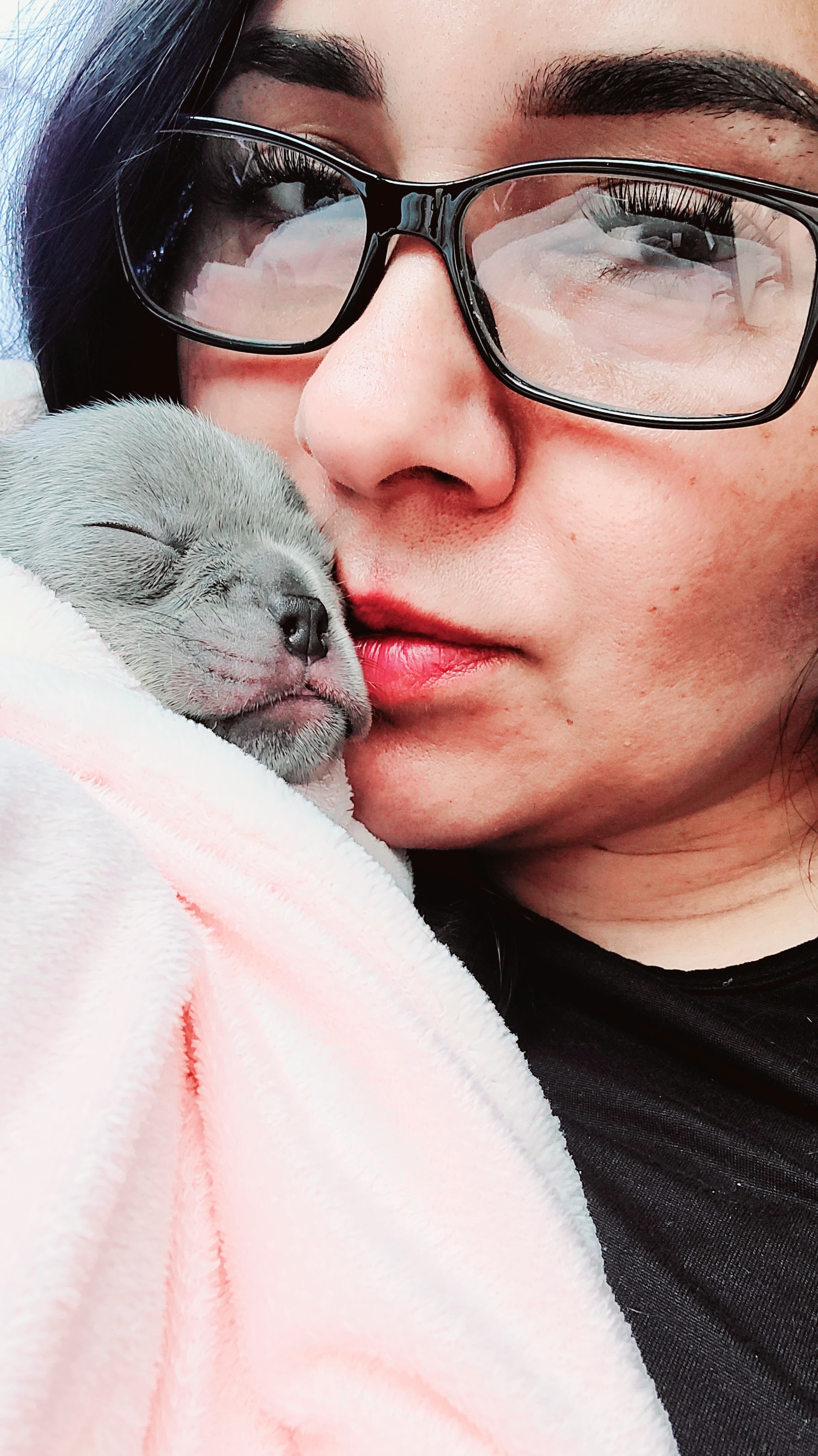 French Bulldog Puppies from Culichitown Frenchies