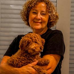 Sweet Ruby - Mini Female - Red  female Goldendoodle puppy in Lancaster, California from Kid's Best Doodle