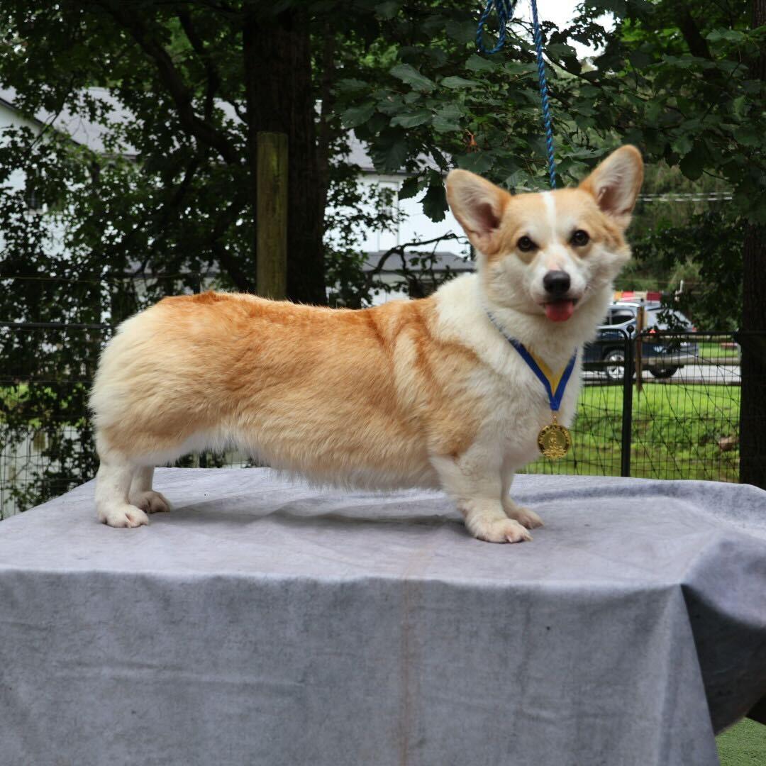 Rosie
