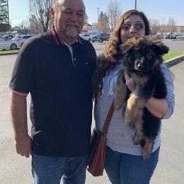 German Shepherd Puppies from Von Gonzalez Kennel