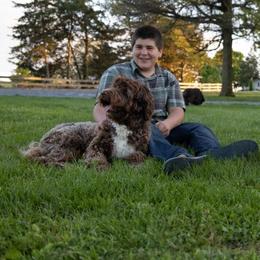Portuguese Water Dog Puppies from Prized Family Porties