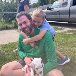 American Bulldog Puppies from Slayton's American Bulldogs