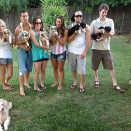 Australian Shepherd Puppies from Gypsy's Charm Australian Shepherds