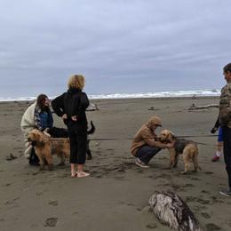 Otterhounds from Vonda Rouleau