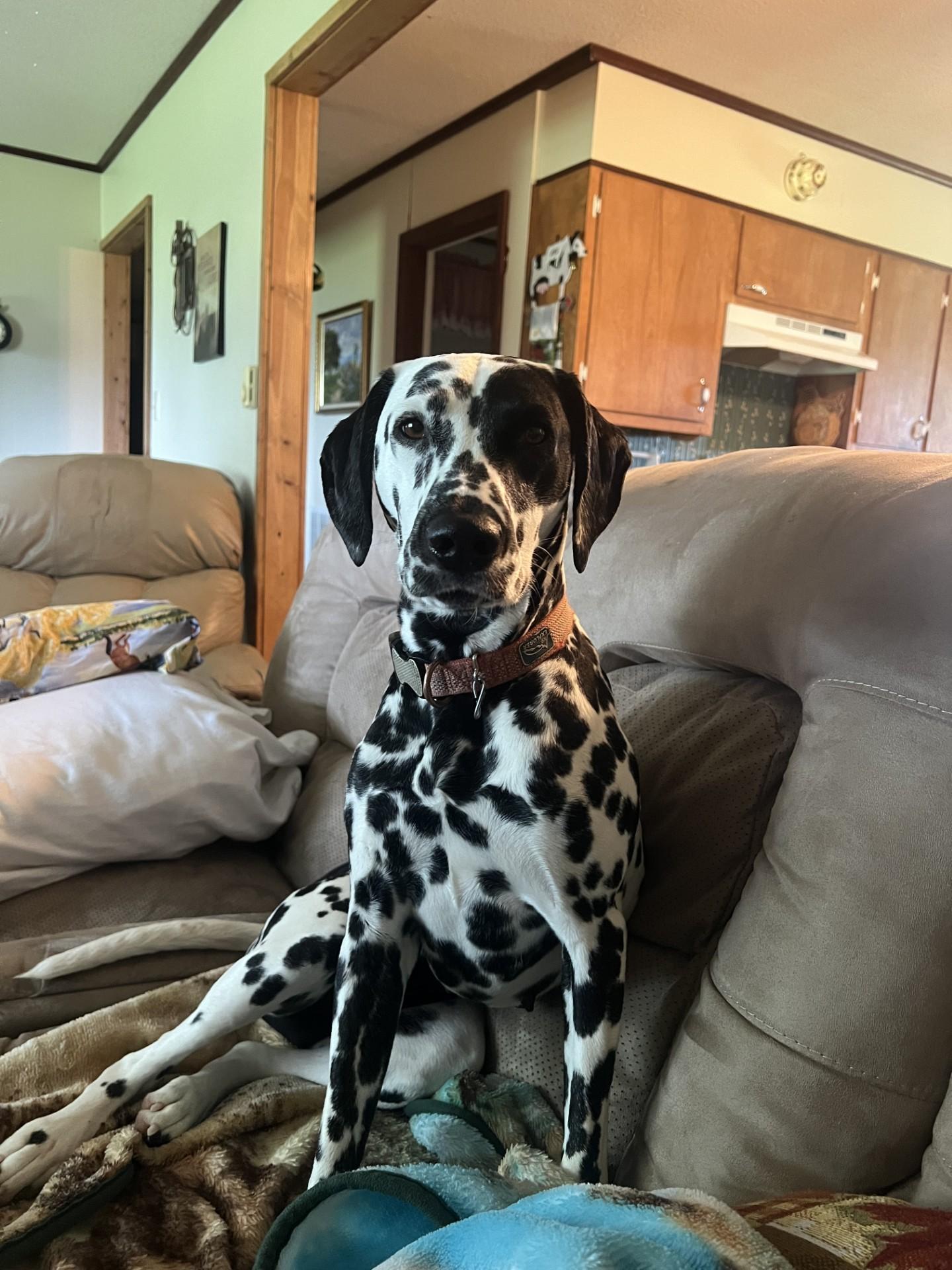 Loki