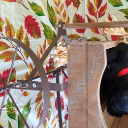 Miniature Schnauzer Puppies from Camp Creek Schnauzers