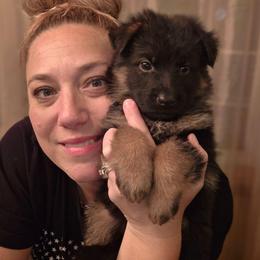 Rigel Grand Reserve Elite Von Haus (Red Collar) - Black and red male German Shepherd puppy in Grants Pass, Oregon from Elite Von Haus German Shepherds