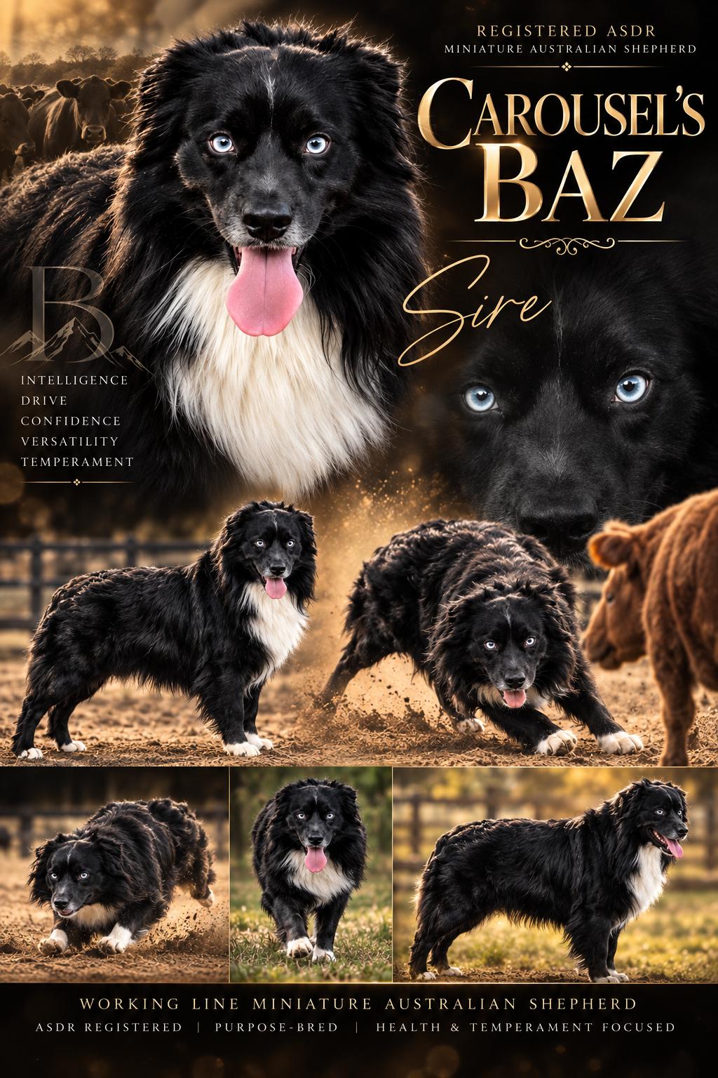 Baz